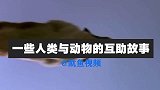 一些人类与动物的互助故事，被警察救助的小狗成为警犬，有专座