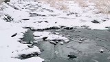 下雪的日子，你想到了什么。。。