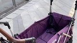 稳 如 老 猫 快去圈住它  锅圈食汇 哈哥猫妹