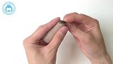 手把手教你做一个龙猫的黏土场景手办！包教包会不会那就多做几次