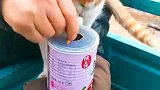 猫：可以吃了不，我快饿死了！