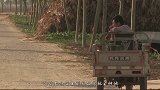 大量农民工返乡，目的却不是种地，他们去哪儿呢