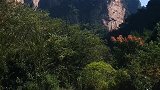 雨后初晴，这样的张家界风景你可喜欢