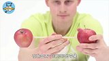 不可思议的科学现象！苹果能被磁铁推着走，你知道原理吗
