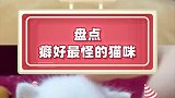 奶香味的小猫咪突然混入了奇怪的气息