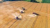 美国大农场成标杆，耕地多出4.5亿亩，为何粮食产量不如中国