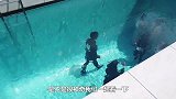 世界上最神奇的泳池，人在水下自由呼吸行走，衣服毫无沾湿迹象！