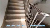 疯狂祈求出门的小八啪啪打脸钢筋（暴雪天出门即虐猫）遛猫就是爽