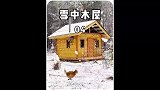 男人在零下20度的森林中搭建精致木屋