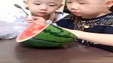 哥哥吃西瓜，结果弟弟喝汤，接下来的画面实在是太逗了