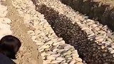 农民为了储存这些瓜，就挖了一个这么大的地窖