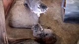 搞笑配音：你的眼神不太管用