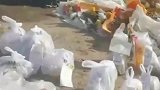在刘学州轻生的地方，热心网友摆放了许多鲜花