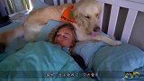 女子每天抱着狗狗睡，突然感觉身体不舒服，检查结果吓她一跳！