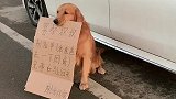养狗的用途之一！