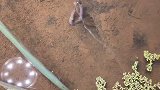 户外炮哥