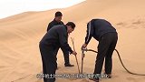 中国内蒙古发生奇迹将黄河的水引入沙漠之后，出现了什么奇观