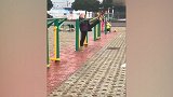 我有特殊的运动技巧：小区大妈社区健身器材玩得6