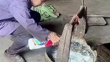 第一次见猪养房子底下的