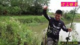 路亚：听说鱼塘里黑鱼肆虐，赶紧抛几竿“为鱼除害”