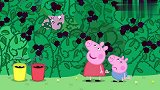 小猪佩奇：猪妈妈摔下来被灌木丛困住了，佩奇超开心还讲故事