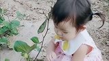 两岁的妹妹第一次逛外婆的菜园子，看到什么都想吃，最后亮了