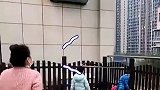 家住托育园对面的烦恼，老师直接隔空喊宝宝来上学