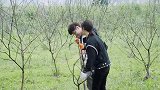 杨紫张艺兴镜头前毫不避嫌，两人种树卿卿我我，网友：真在一起？