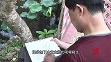 宝地情怀-荷花书画展