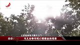 传奇：丈夫意外身亡后，大妈把所有家人告上法庭，真相太心酸了
