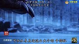 废物魂兽千钧蚁修炼到九万年竟是靠吞噬同类蚁后