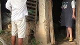 家里没盐了去买包盐