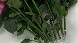 用上湿纸巾和保鲜膜，将鲜花根茎包住，让鲜花保存得更久