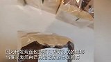 男子超市买午饭，却发现面包里有只活蹦乱跳的蟑螂！
