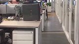 小姐姐说她可以隐身我不信，可是当她拿出斗篷我真的看不到她了