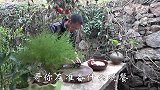 初冬寒意浓，大哥炖一锅鱼羊鲜，兄弟俩喝着汤回忆小时候的故事