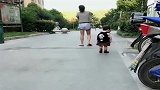 自从有了小侄女后，姑姑身后就多了一个“跟屁虫”，看完忍住别笑