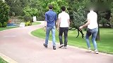 国外恶搞合集，众人提醒隐形路障看，结果出事了