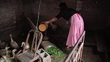爱吃糖的阿妹教你做家常版酸甜可口外酥里嫩老少皆宜的糖醋鲈鱼