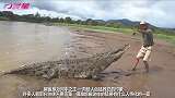 男子放生鳄鱼，没想到发生意外，镜头记录感人情景！