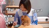 猫：我控制不住我寄几啊…宠爱里云社区