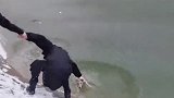 两男子手拉手救助狗狗上岸！