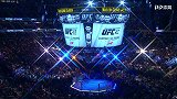 UFC-17年-UFC第217期主赛全程（何鹏 王琰博解说）-全场