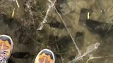 千万不要没事就踩冰