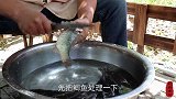豆豉鲫鱼！一锅炖10条，老伴抱着直接啃，真过瘾
