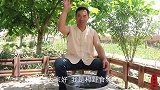 豆豉鲫鱼！一锅炖10条，老伴抱着直接啃，真过瘾