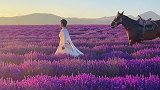 伊犁浪漫的紫色花海里、飘来了花仙子