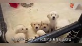 网友凌晨回家时，发现家里灯开着，悄悄的打开门后看到了这幕！