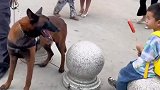 别人家孩子有的，咱也得安排上
