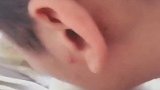 猫：快走开，我才不让你亲！